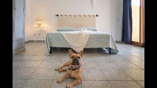 Tranquil Palau Green Village Studio sleeps 2 (+ Child) Apartment in Palau