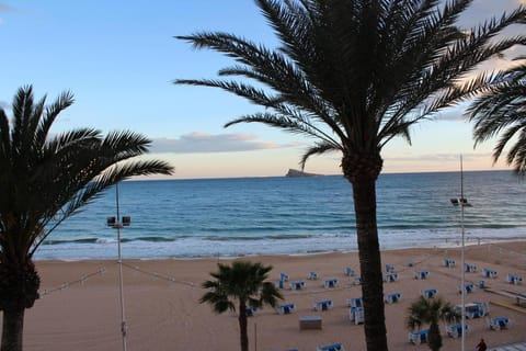 Property view