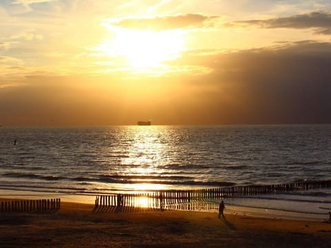 Penthouse in Cadzand-Bad near the Beach Apartment in Zeeland, Netherlands