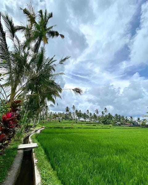 DREAM Away @ MAYA/ PRIVATE Pool / Penestanan Ubud Villa in Abiansemal