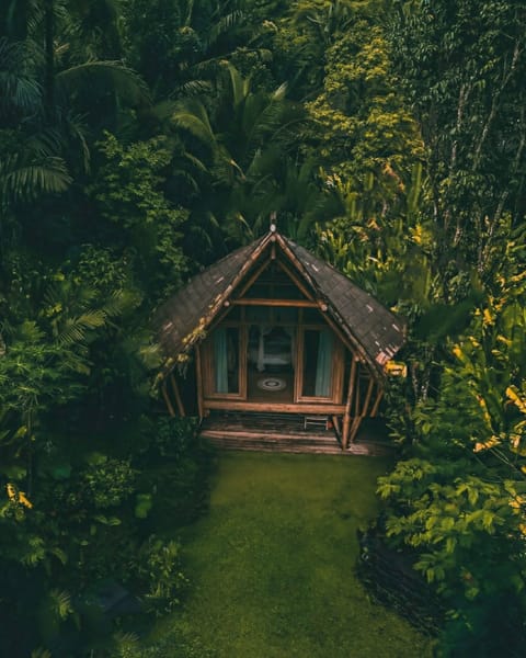 Jungle-an Bamboo House Villa in Selat