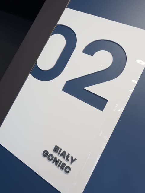 Biały Goniec Apartment in Leba