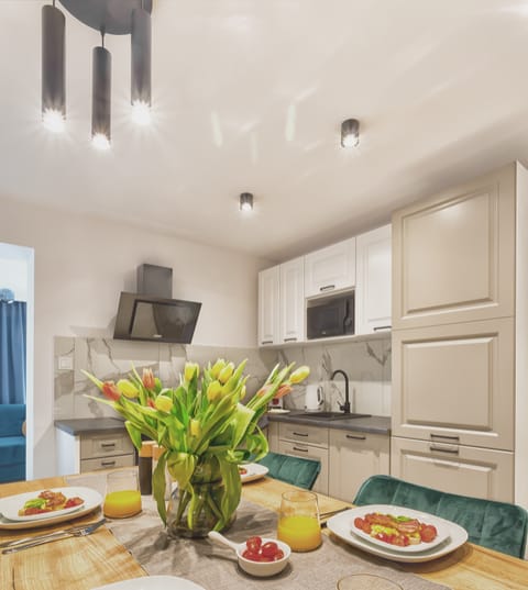 Biały Król Apartment in Leba