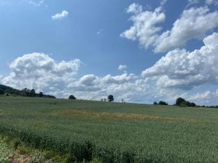 Holiday Home in Lierneux with Private Garden Vacation rental in Vielsalm