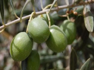 Romantic Chateau Stay Rhone Apartment in Provence-Alpes-Côte d'Azur