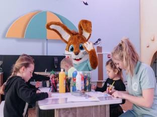 Villa near North Sea Beach in De Banjaard Villa in Kamperland