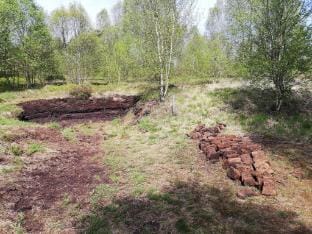 Escape in Hautes Fagnes Vacation rental in Wallonia, Belgium