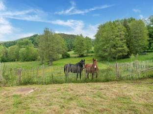 Cozy Home with Garden, Ennal Vacation rental in Trois-Ponts