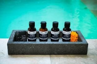 Luxury 1 BR Private Pool Villa #DN1 Villa in Ubud