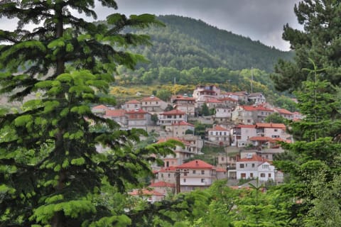 Hotel Mitikas Hotel in Pieria, Greece