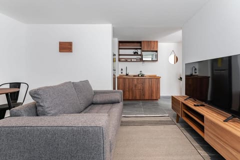 Santa Ma la Ribera Apartments by VH Apartment in Mexico City