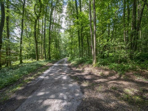 Cozy Chalet with barbecue Vacation rental in Wallonia, Belgium