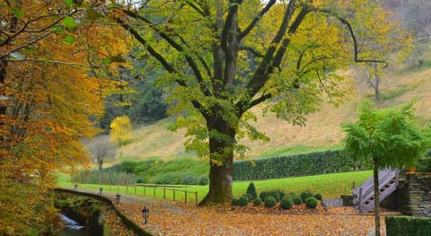 Historic Mill with Sauna Vacation rental in Wallonia, Belgium