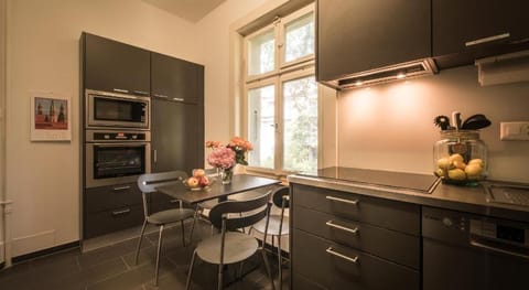 Max Aviation Villa & Apartments Apartment in City of Bern