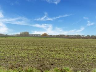 Zoutleeuw Home with Pool Vacation rental in Flanders