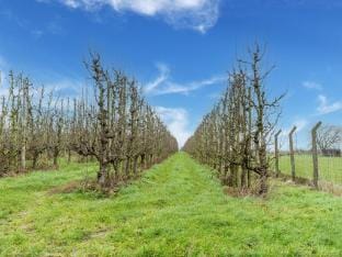 Zoutleeuw Home with Pool Vacation rental in Flanders