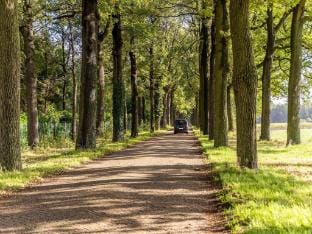 Apartment in Wortel Hoogstraten Apartment in North Brabant (province)