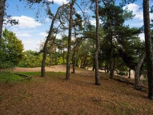 Holiday home in Kaatsheuvel with hot tub Vacation rental in South Holland (province)