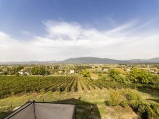 Classic Villa for family with pets Villa in Umbria