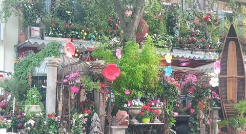 Gite LE PETIT LUBERON COQUELICOT Apartment in Gordes