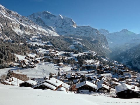 Bed & Breakfast in car-free Wengen - Hop in Nest BnB Bed and Breakfast in Lauterbrunnen