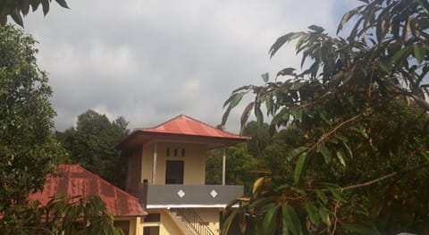 Sugi Gede Homestay Vacation rental in Bali