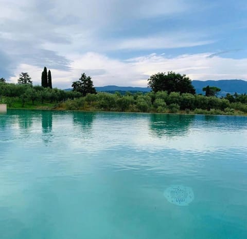 Villa Pacini - just 1,8 km outside Lucca Wall - Pool Villa in Capannori