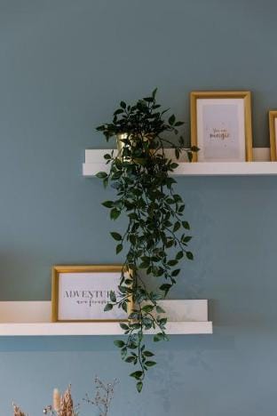 Modern studio with seaview and parking Apartment in Bruges