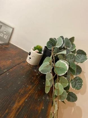 De Parys Penthouse 5 in Bedford Apartment in Bedford