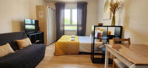 Le Bellecroix Apartment in Metz