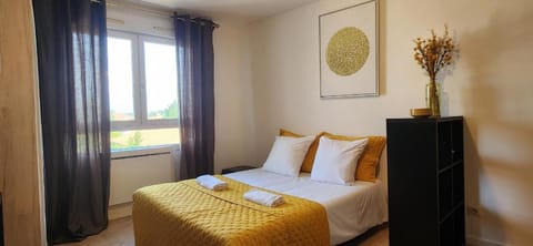 Le Bellecroix Apartment in Metz