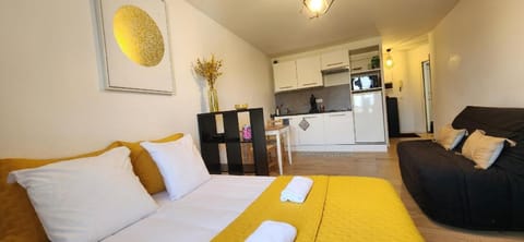 Le Bellecroix Apartment in Metz