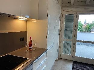 Central, quiet, big terrace, appartment Eiffel Apartment in Timisoara