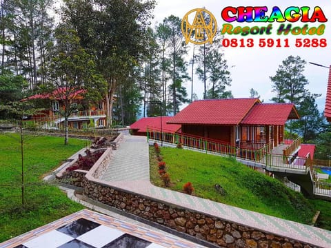 Property view