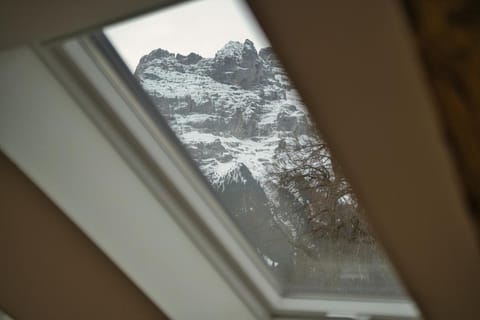 Eiger View Alpine Lodge Lodge in Grindelwald