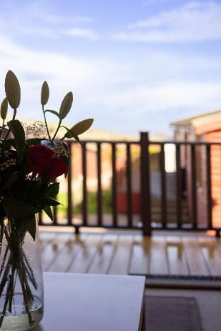 28 Ocean Terrace Apartment in Ilfracombe