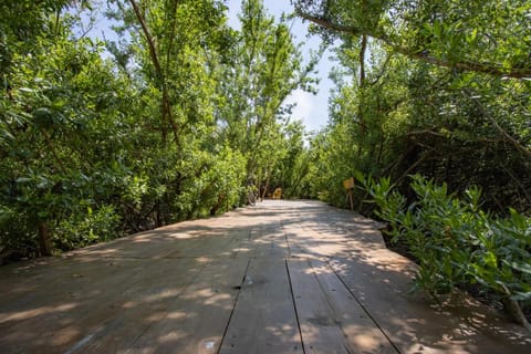 Posada Corazon Mazunte Inn in State of Oaxaca