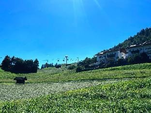 Comfort Studio - Jägerlodge Apartments Apartment in Trentino-South Tyrol