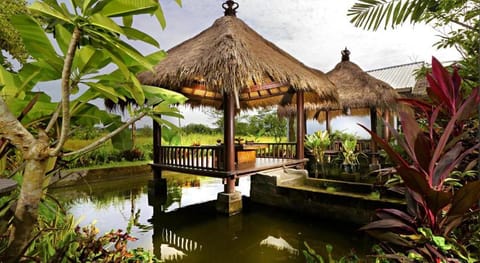 Lumbung Asri Cottage Hotel in Abiansemal