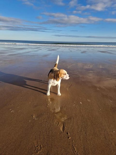 Luxury Escape by the sea Vacation rental in Scotland