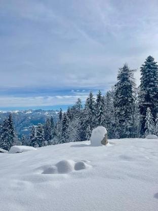 Chalet Sissi Princess | Terrace | Nature Vacation rental in Trentino-South Tyrol