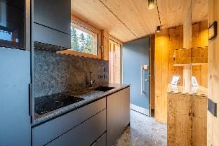 Chalet Sissi Princess | Terrace | Nature Vacation rental in Trentino-South Tyrol