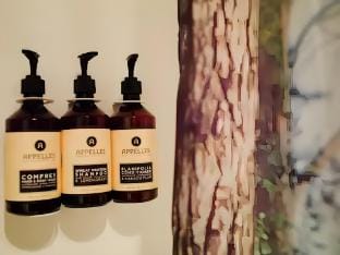 Bay Of Fires Apartments - Suite 5 Apartment in St Helens