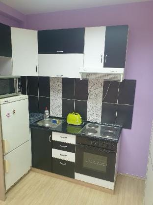 LENI Apartman u centru Zajecara Apartment in Serbia