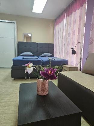 LENI Apartman u centru Zajecara Apartment in Serbia