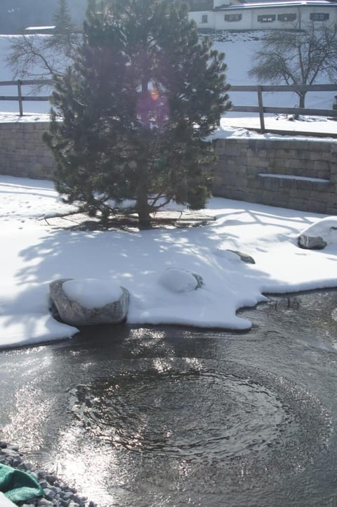 Beat & Ursula's Guest House Bed and Breakfast in Vorarlberg, Austria