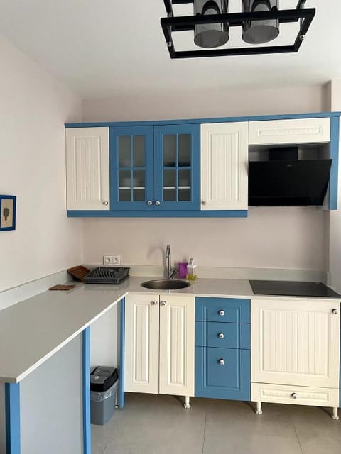 Alacati Tas Konak 2+1  Villa A2 Villa in Alaçatı