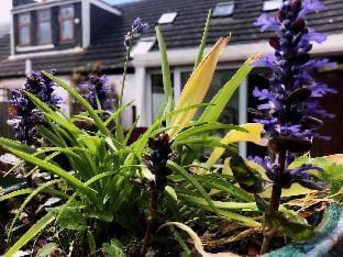 Ayrshire Holiday Cottage ⛱ Vacation rental in England