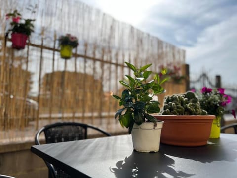 HomingPisa - Gemini One Apartment in Pisa