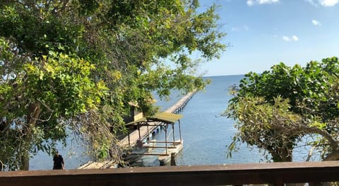 Disthi Pearl Guesthouse Hotel in Bali